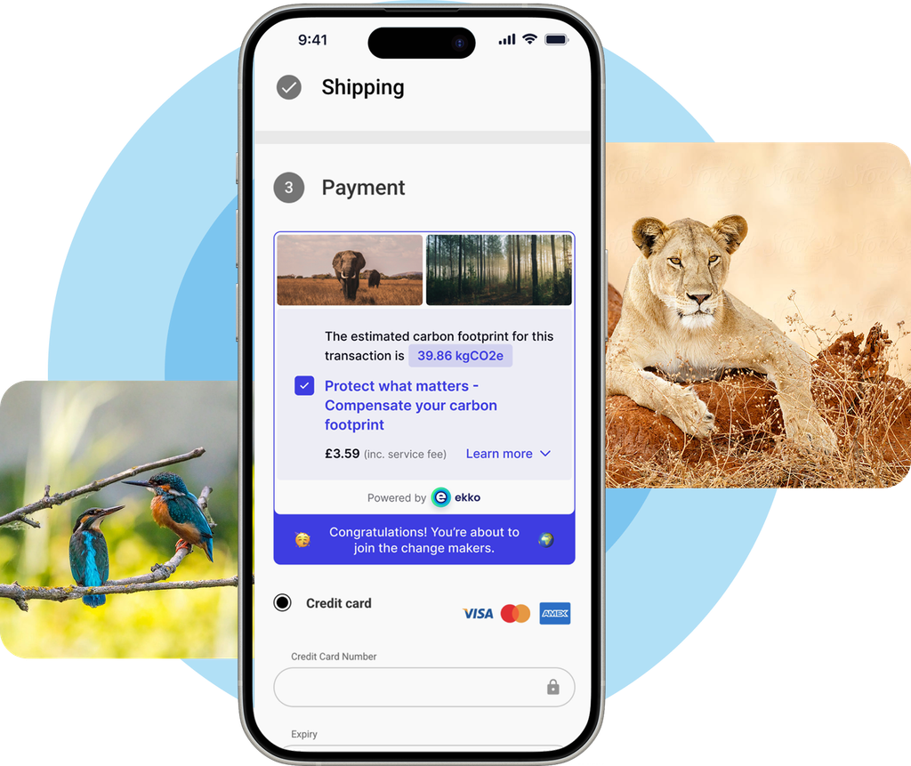 Mobile payment app screenshot
